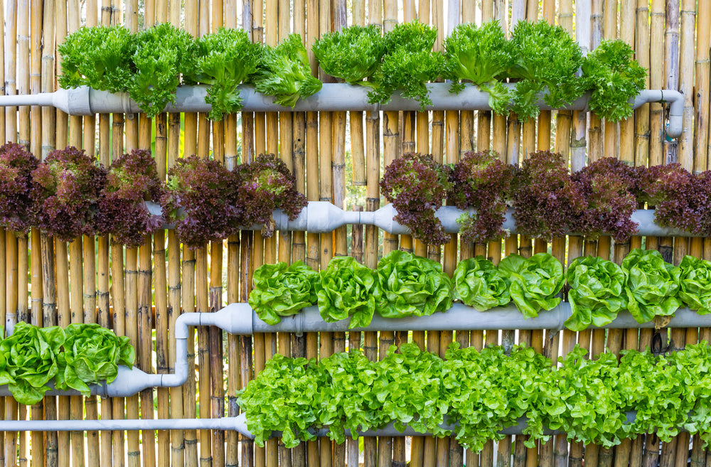 Your Full Guide to Growing A Vertical Vegetable Garden – Outland ...