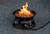 Premium Fire Pit