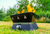 Firecube Fire Pit