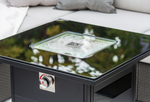 Glass Lid For Model 420